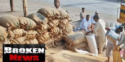 Seventy thousand wheat bags gone missing from a government Gowdown in Shikarpur, Sindh 