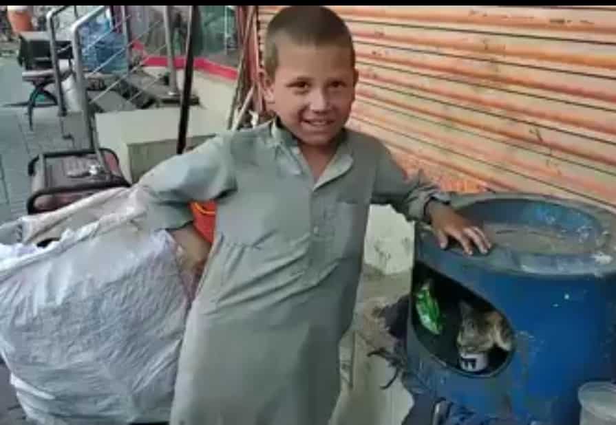 Trash Collector Child Feeds Cat From His Pocket 