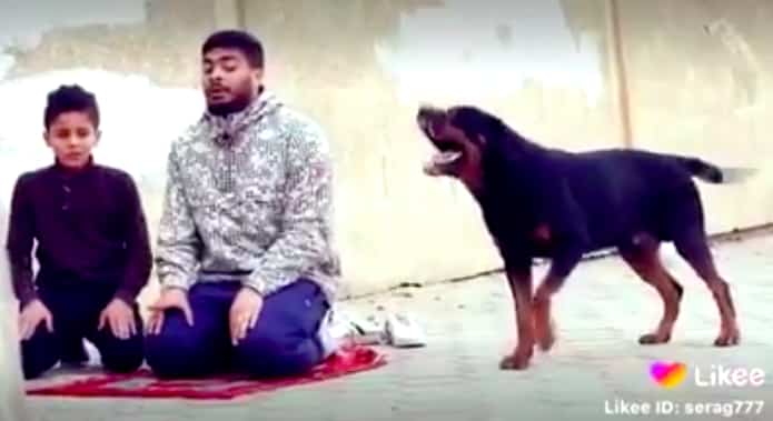 Israeli men release their dog over Palestinian men to attack