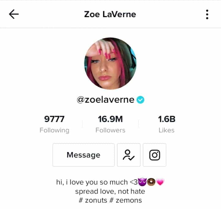 Zoe Laverne's TikTok profile 
