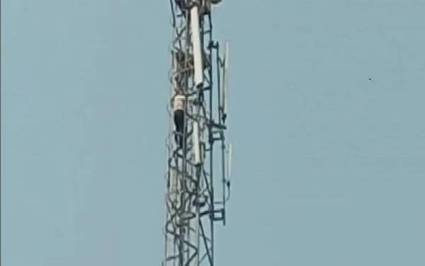 Fed up With Wife, Man Climbs Mobile Tower in India 