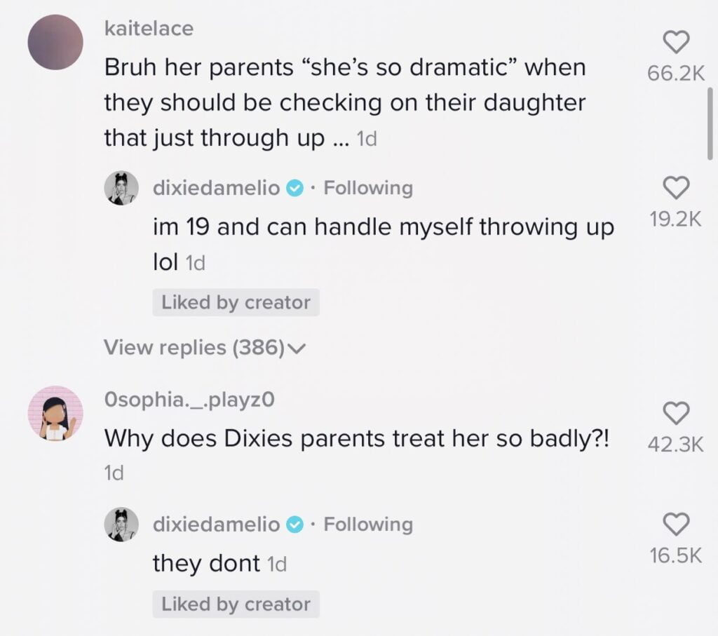 More comments of Dixie D'amelio 