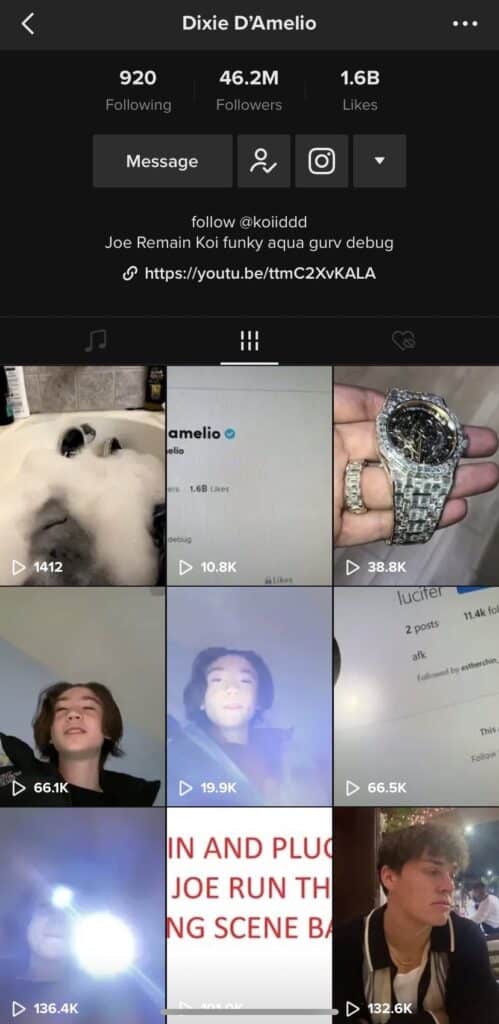 Screenshot of the videos posted by hacker on Dixie D'amelio's TikTok account 