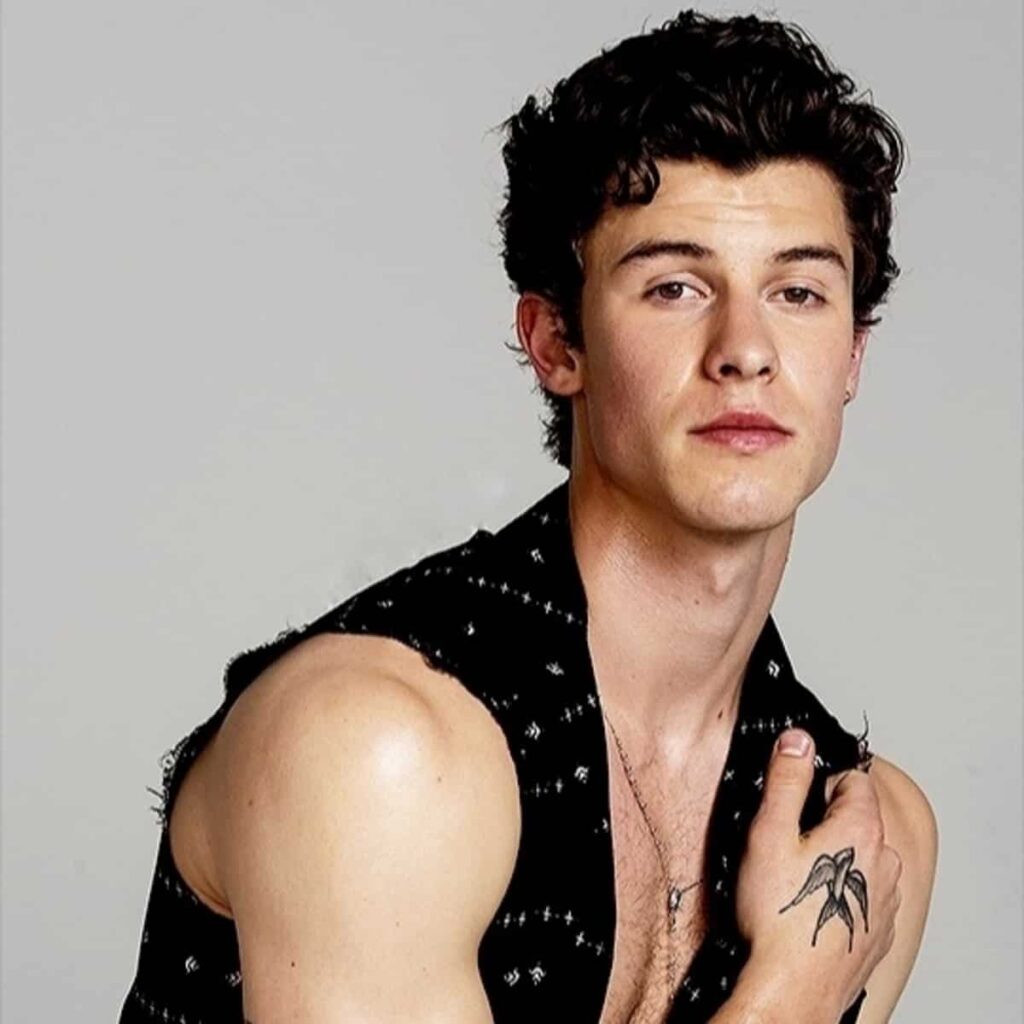 Shawn Mendes leaked video goes viral on social media at the next day of shawn mendes and Camila Cabello house being broken 