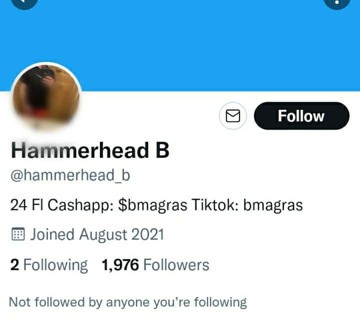 Hammerhead B Twitter profile 