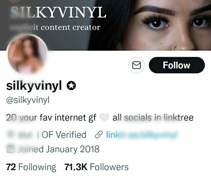 Silkyvinyl Twitter profile