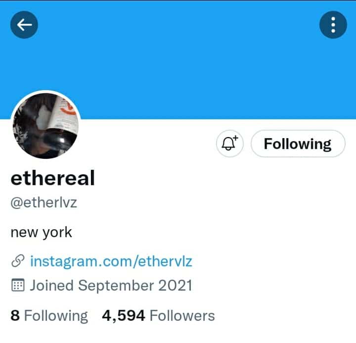Etherlvz Twitter profile page