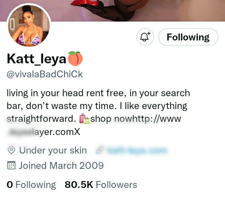 Screenshot of Katt Leya aka Vivalabadchick Twitter profile 