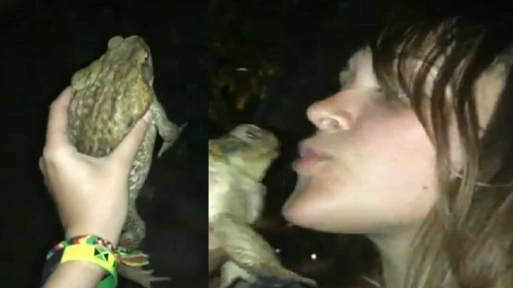Video of Girl with frog in her goes viral on social media