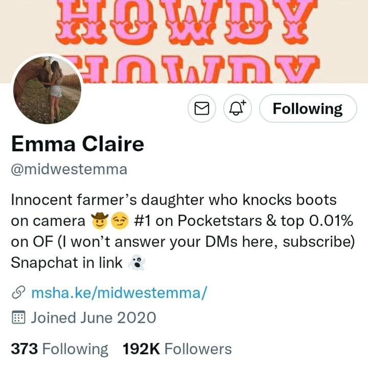 Screenshot of Midwestemma Twitter profile 
