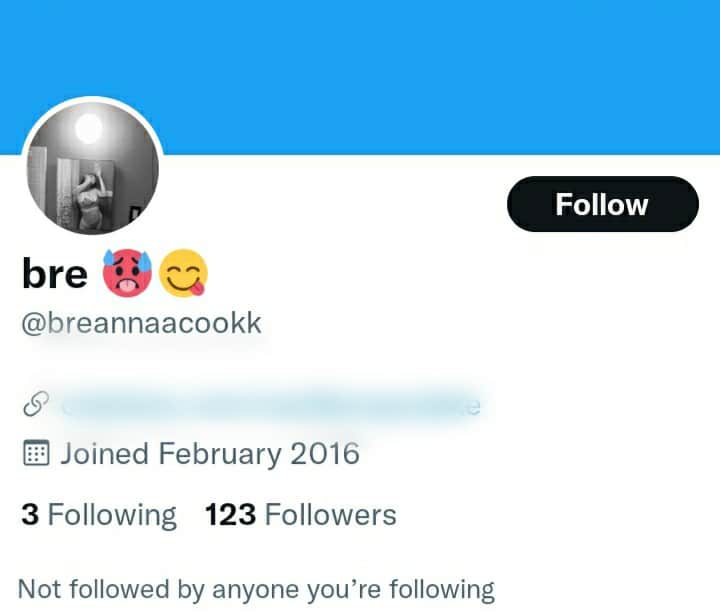 Screenshot of breannaacookk Twitter profile 