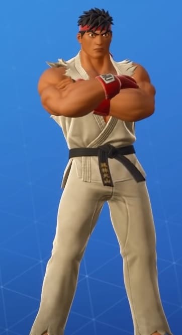 There's a chance that some people don't know about Street Fighter, but it's a legendary series that most veteran gamers grew up with, and even younger players may have played more recent games in the series. top 10 best Fortnite skins