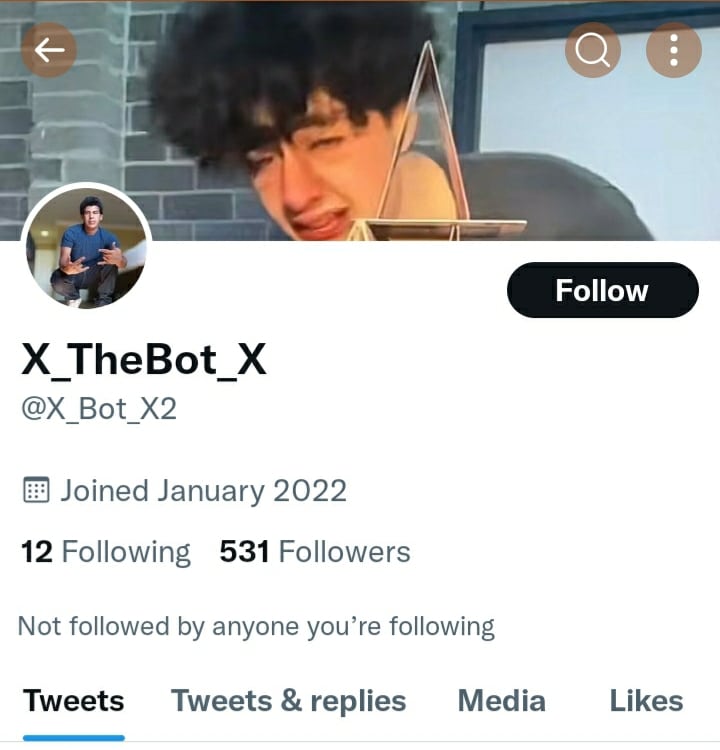 Screenshot of X_bot_x2 Twitter profile 