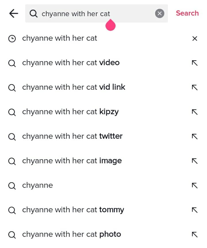 Chyanne cat video being searched on Twitter 