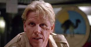 Gary Busey accident