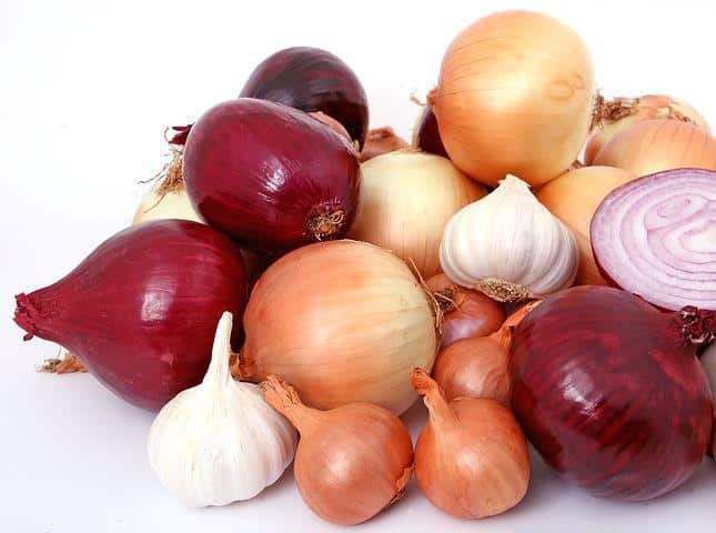 This is photo of Onions