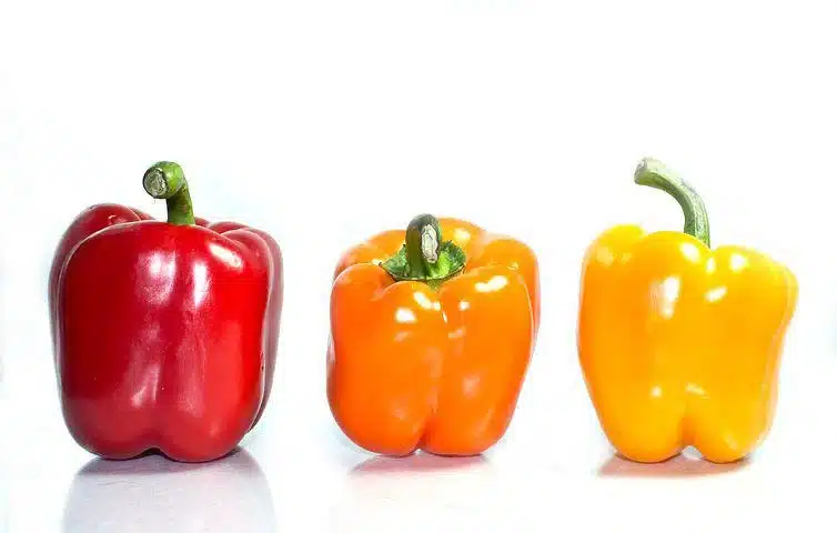 This is photo of Red Bell Peppers