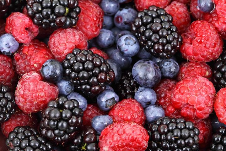 This is photo of berries