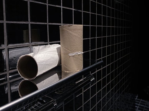 Holder for toilet paper with a shelf gadget under 30$