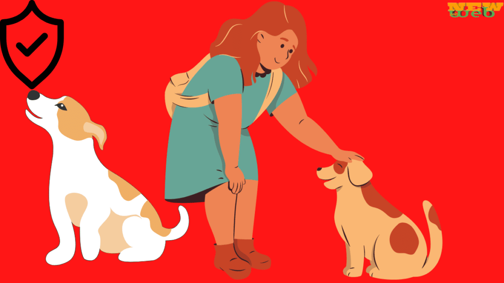 The best companies for pet insurance in December 2022