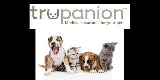Trupanion. insurance