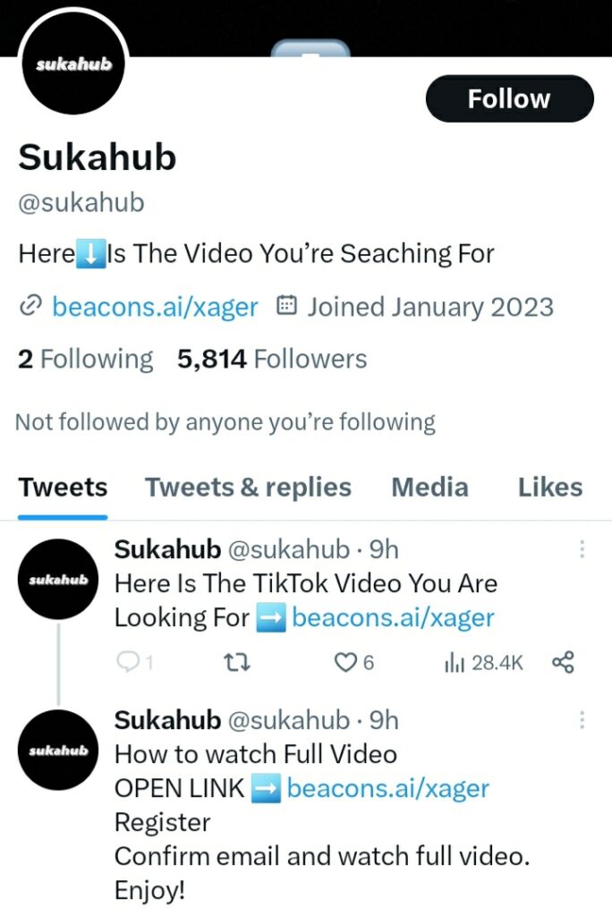 Screenshot image of Sukahub Twitter profile page 