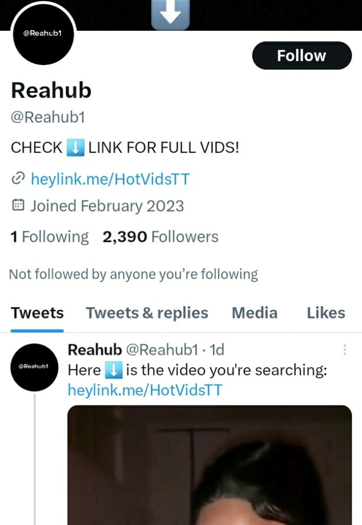 Screenshot image of Reahub1 Twitter profile page