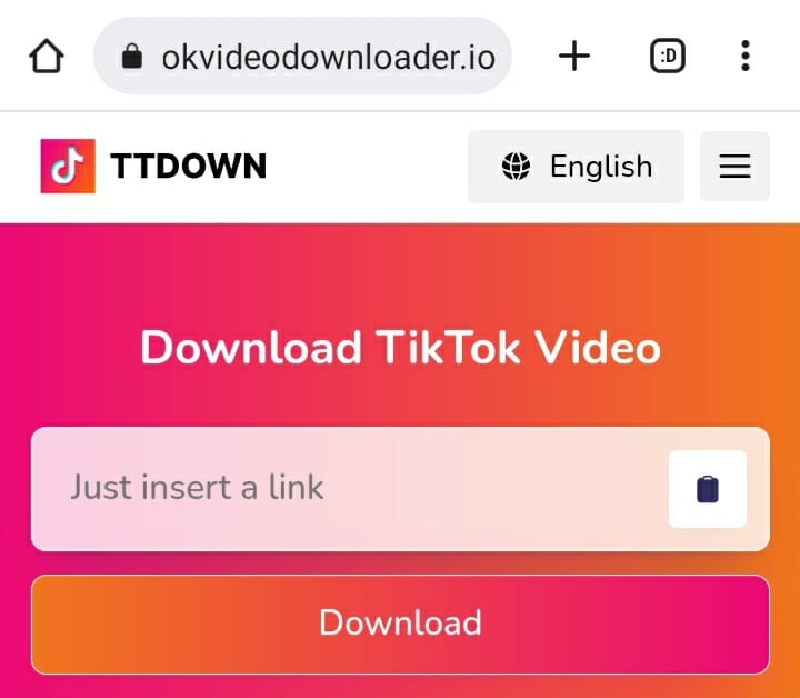 Screenshot of TikTok video downloader tool shows the input field where you will paste the url or TikTok video you desire to download and below the input field, it shows the download button. Upon hitting the download button, you will see the preview of your TikTok video with the available formats to download.