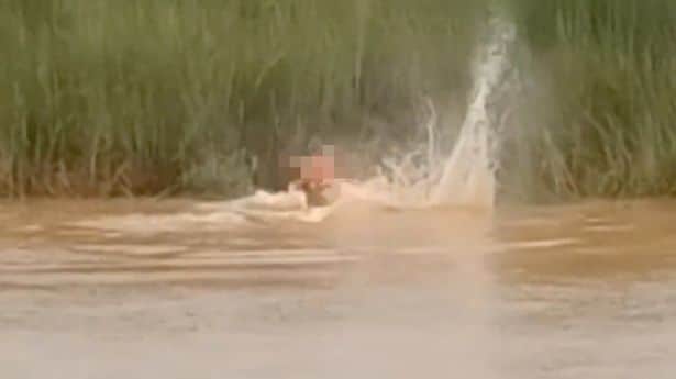 Screenshot image of Crocodile attack in India video
