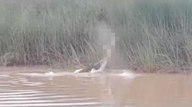 Crocodile attacks a woman in India. This phogo s Screenshot image of the video of Crocodile attack in India